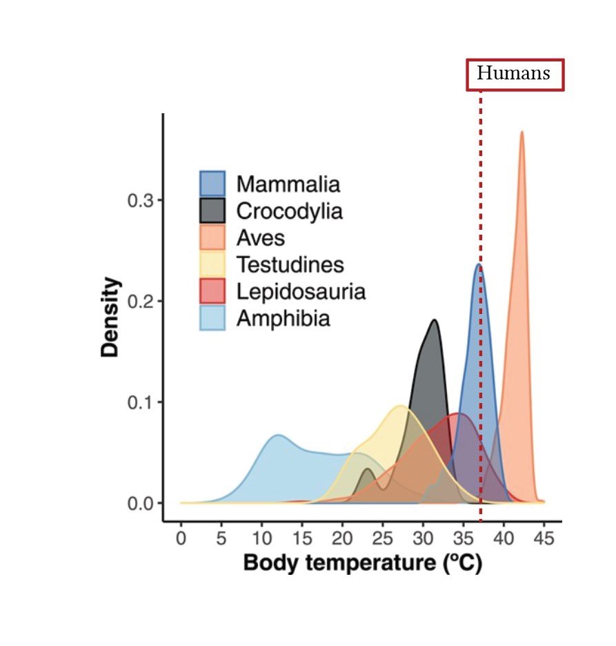 Diagram illustrating human body temperature regulation